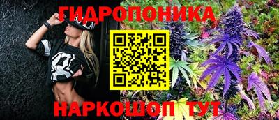 гашик Бугуруслан